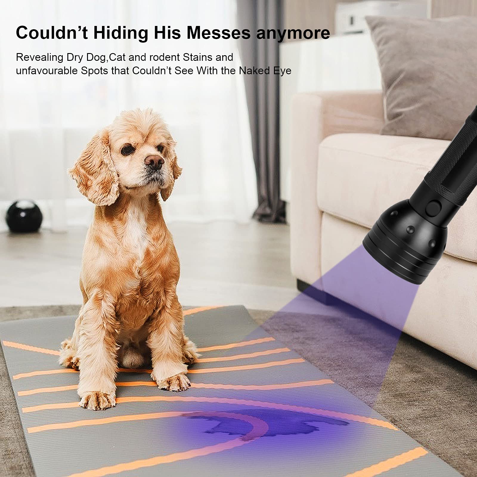 UV Flashlight Black Light, 51 LED Blacklight Pet Urine Detector For Dog Cat Urine, Dry Stains, Bed Bug, Resin Curing, Scorpions Finder 3