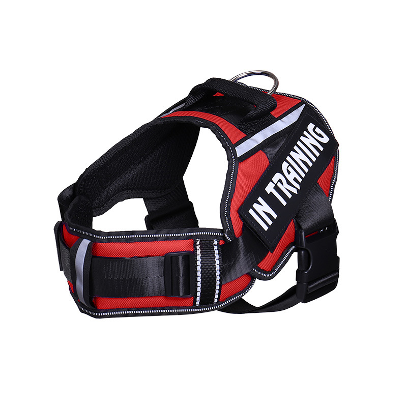Reflective Dog Leash For Chest Harness Customization Red - Shop at LoveMi