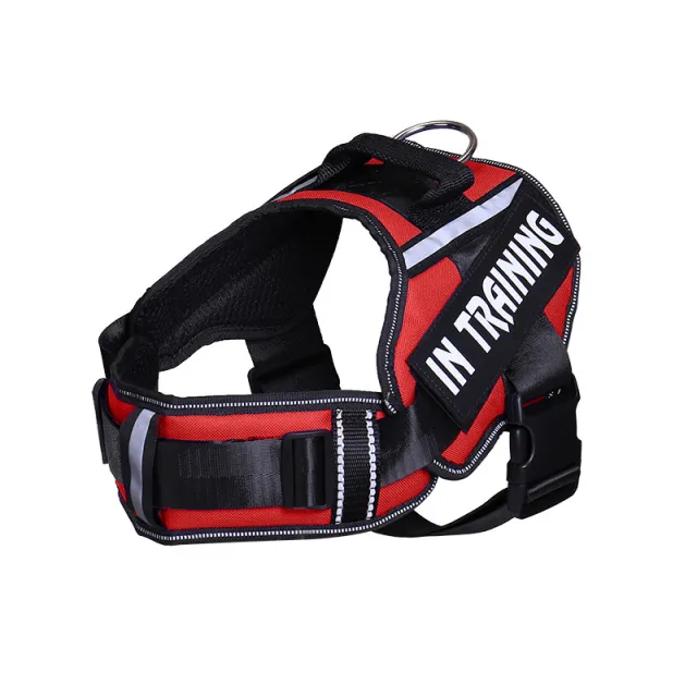 Reflective Dog Leash For Chest Harness Customization Red - Shop at LoveMi