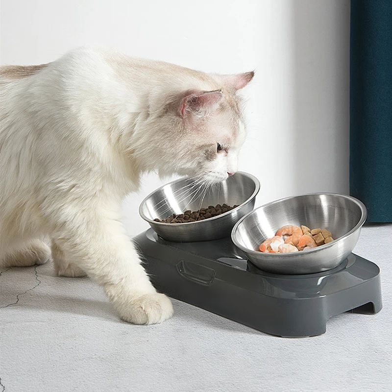 Title 5, Easy to Clean Stainless Steel Cat & Dog Bowls w...