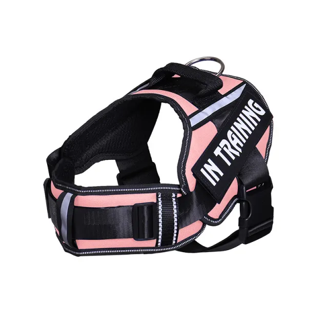 Reflective Dog Leash For Chest Harness Customization Pink - Shop at LoveMi