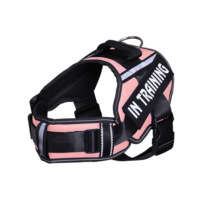 Reflective Dog Leash For Chest Harness Customization - Pink