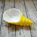 Yellow Conch
