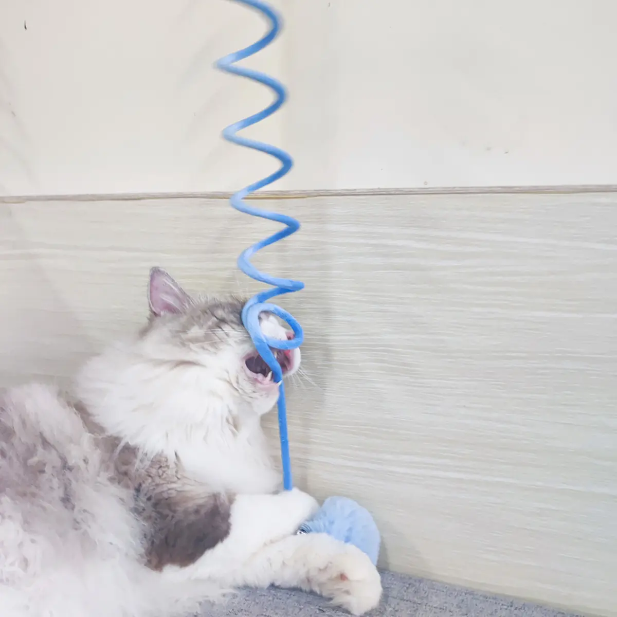 Cat Toy Self-Hi Sucker Spring Rabbit Hair