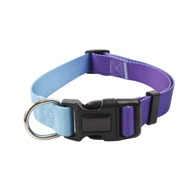 Nylon Pet Collar Traction Rope Set Light Sky Blue Gradient - Shop at LoveMi