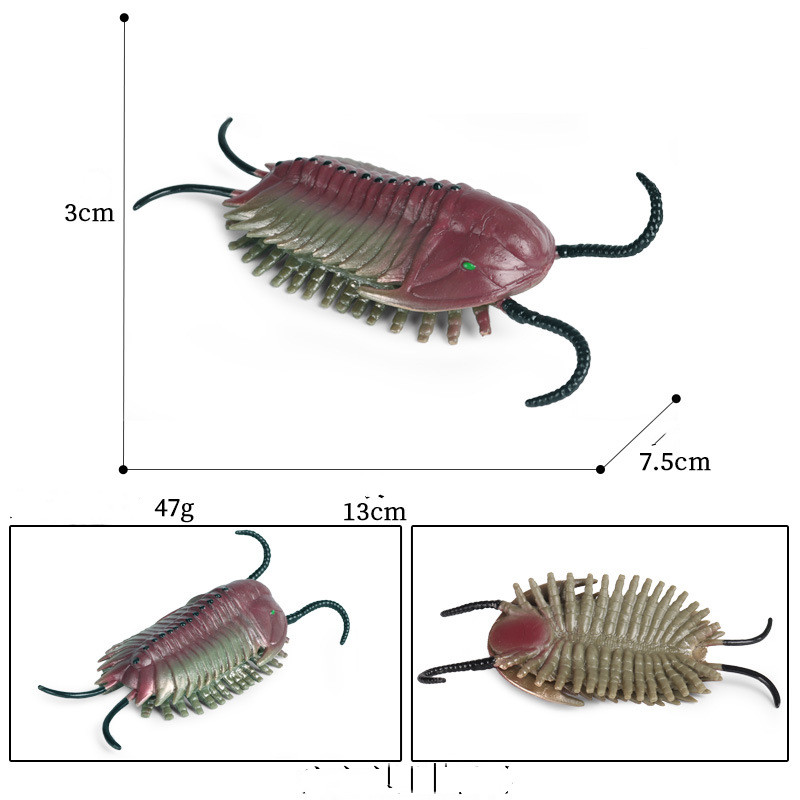 M1465 trilobite