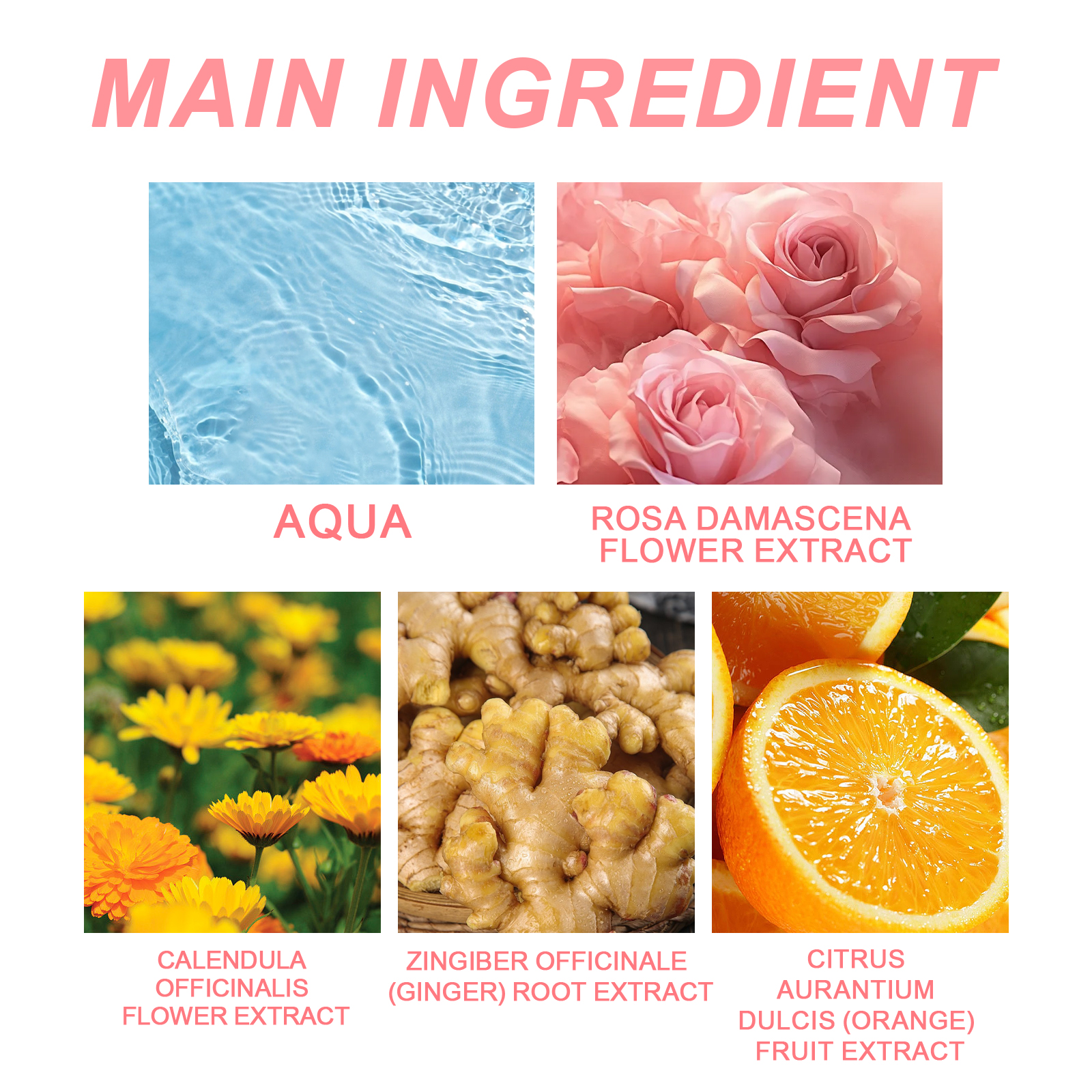 Colorless Rose Perfume Rose Flavor 10