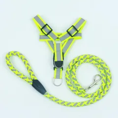 Reflective Nylon Braided Pet Leash Harness Set - Green - View 1