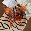 Tortoiseshell