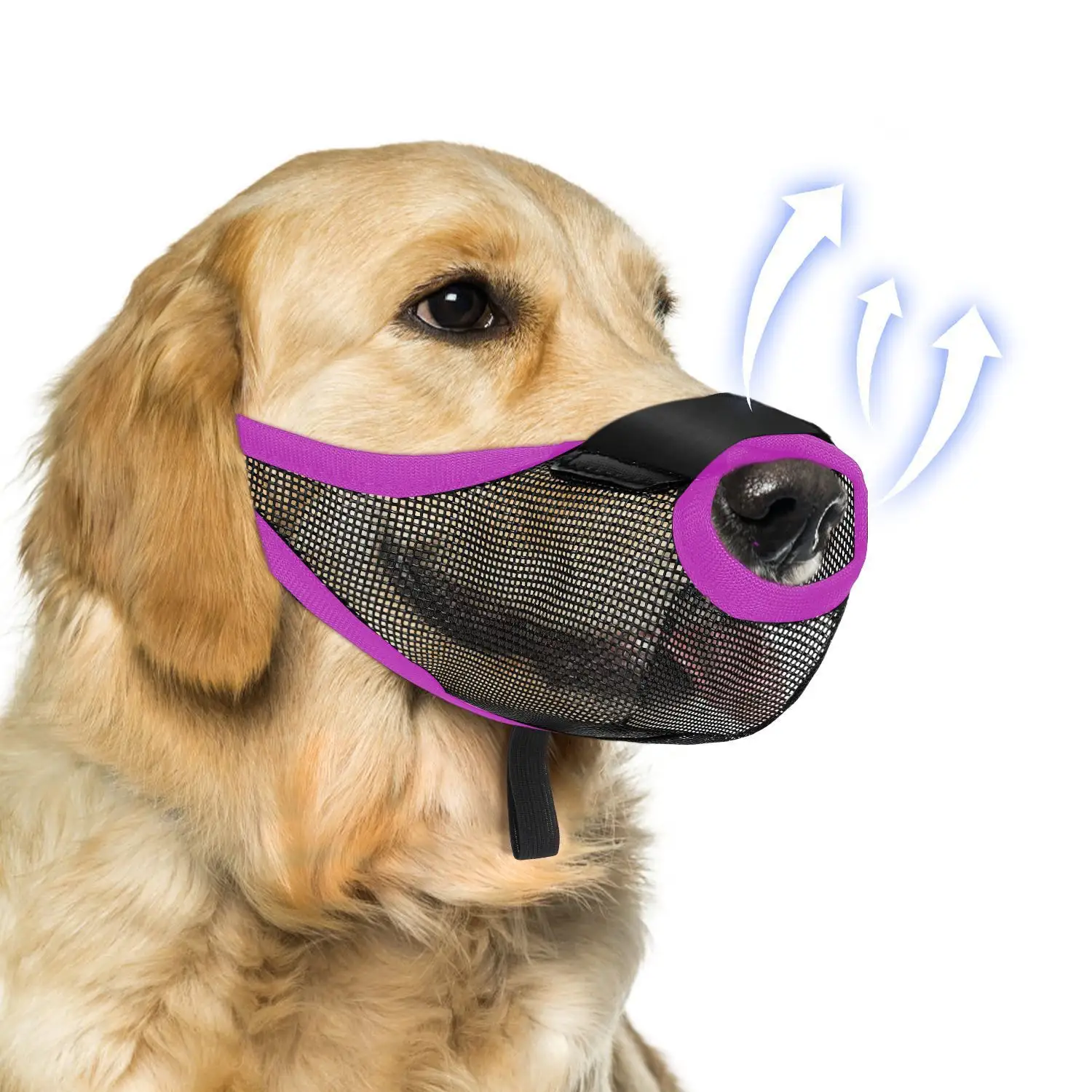 Pet Dog Muzzle Mask To Prevent It