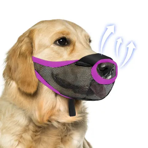 Pet Dog Muzzle Mask to Prevent It From Eating