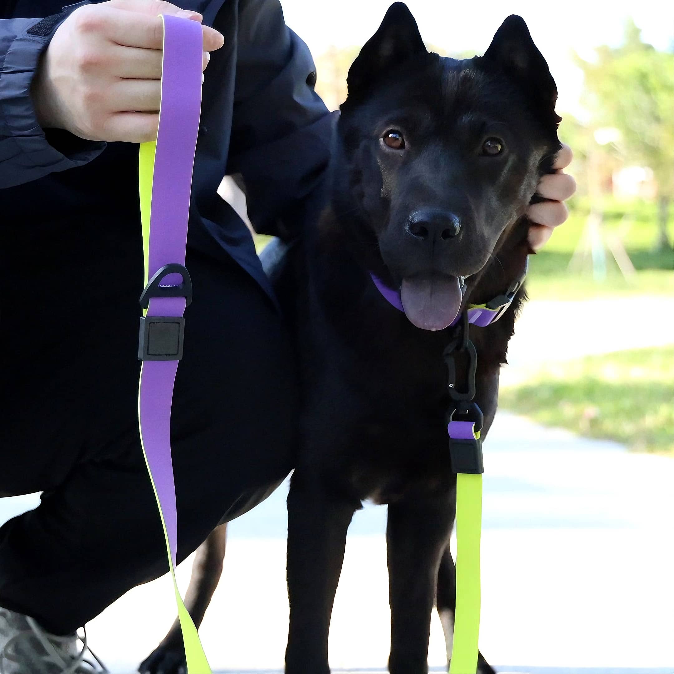 Honeycomb Embossed Dual-Color Pet Leash Set Is Stylish And Fashionable. The Embossed Surface Enhances The Leash's Grip, Preventing Slippage When Held. The Product Is Waterproof, Wear-resistan