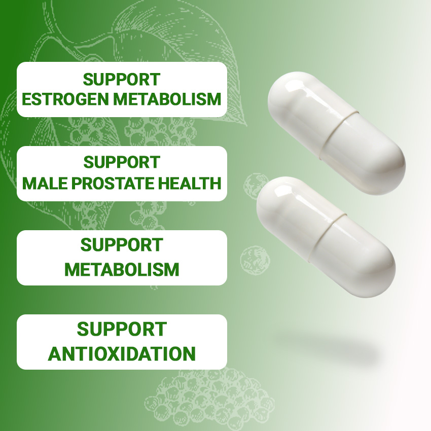 DIM Supplement — foto 4
