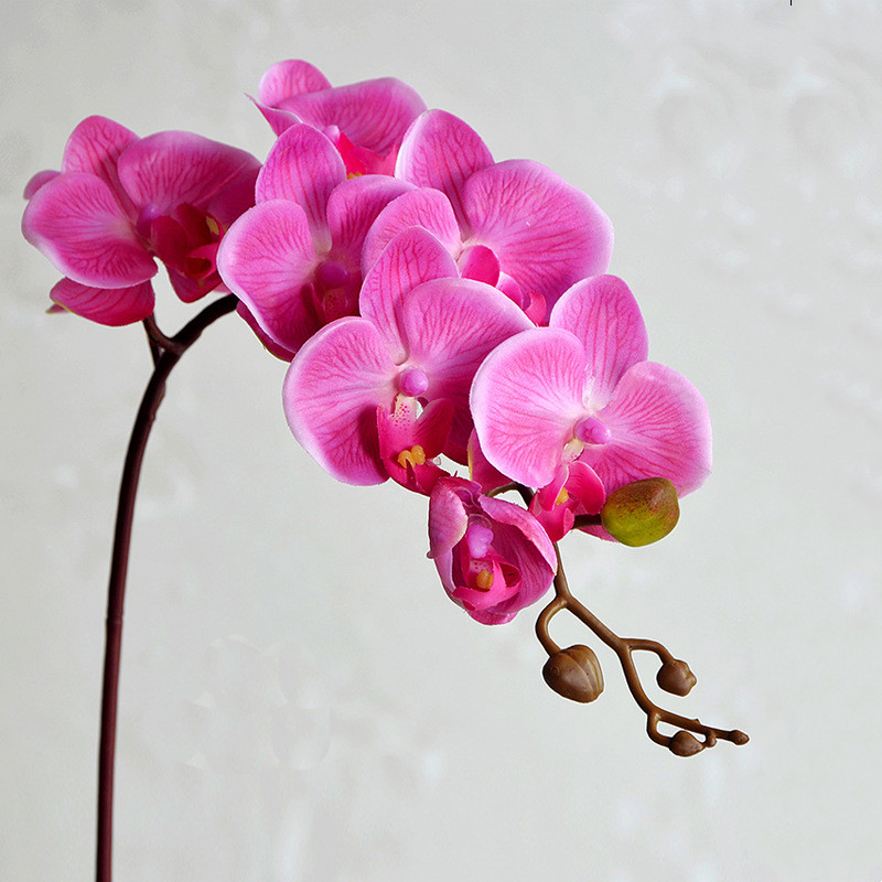 Phalaenopsis Simulation Single Floor Silk Decorative Flower
