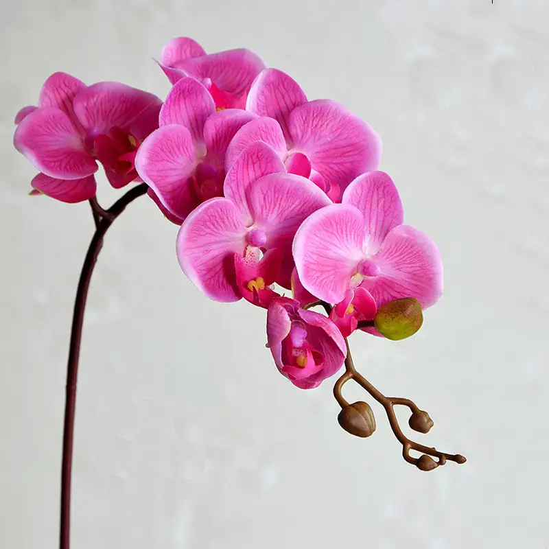 Phalaenopsis Simulation Single Floor Silk Decorative Flower