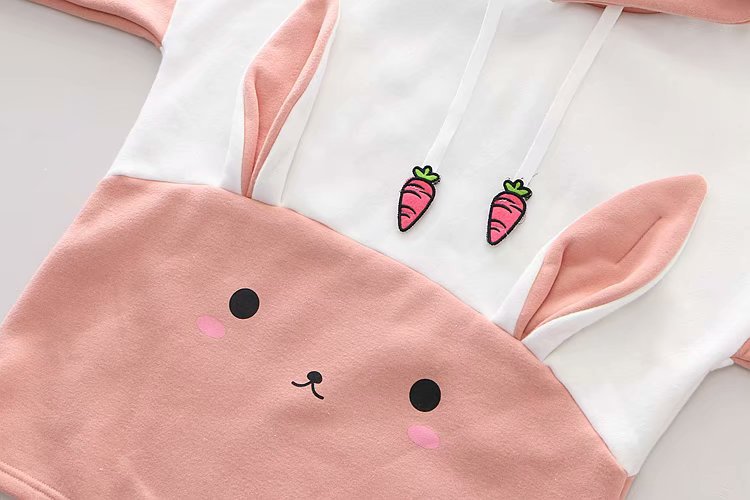 Title 5, Rabbit radish embroidered velvet sweater