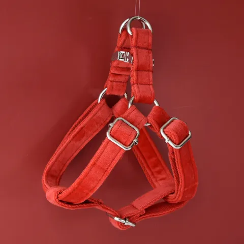 Red Flannel Gold Buckle Dog Harness Pet Supplies Pet