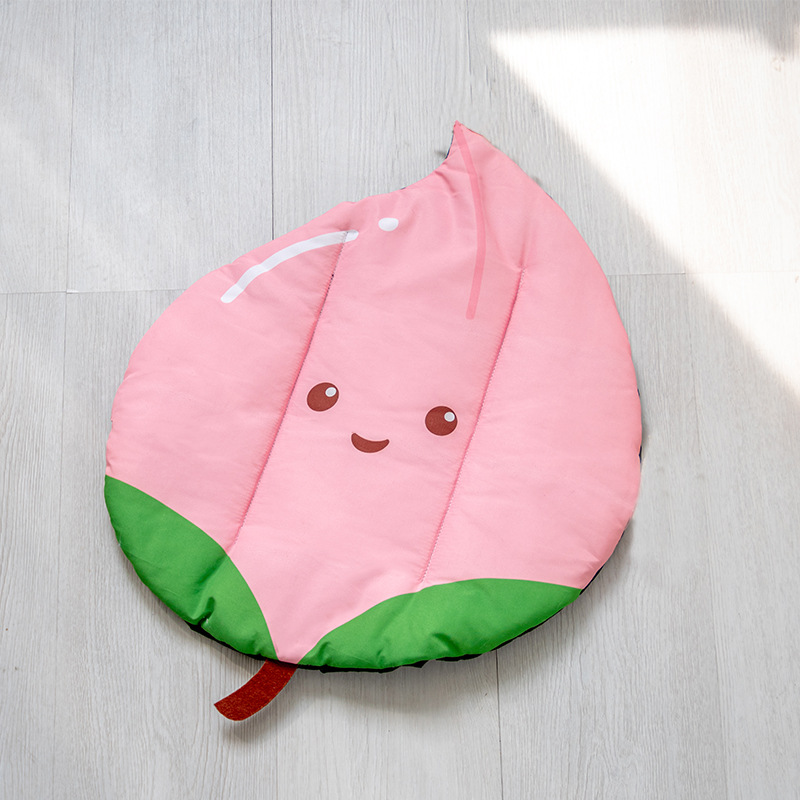 Peach pet pad