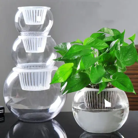 Household Plant Pots