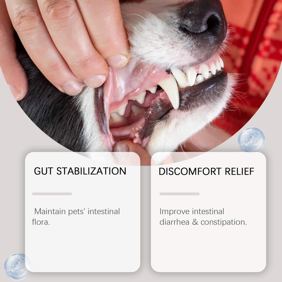 Dog Dental Care Powder Supplement 8