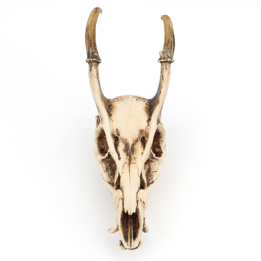 Resin Goat Skull Ornament Three-dimensional Simulation