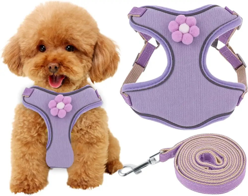 Breathable Mesh Puppy Vest Harness with Quick Release Buckle