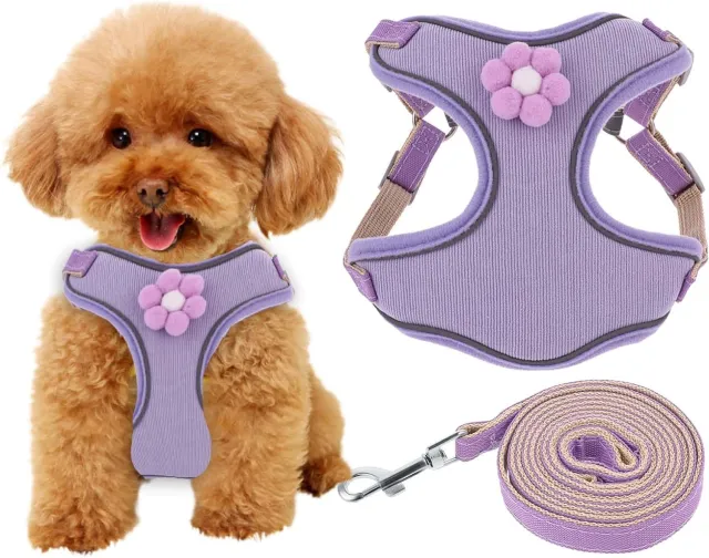 Breathable Mesh Puppy Vest Harness With Quick Release Buckle For Small Medium Large Dogs Purple - Shop at LoveMi