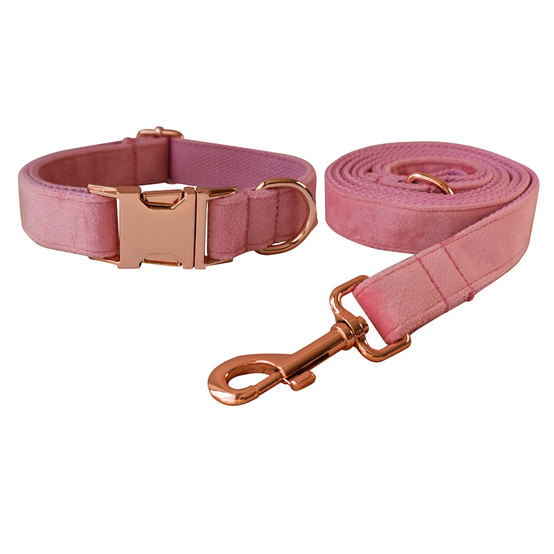 Dog pen dog leash suit