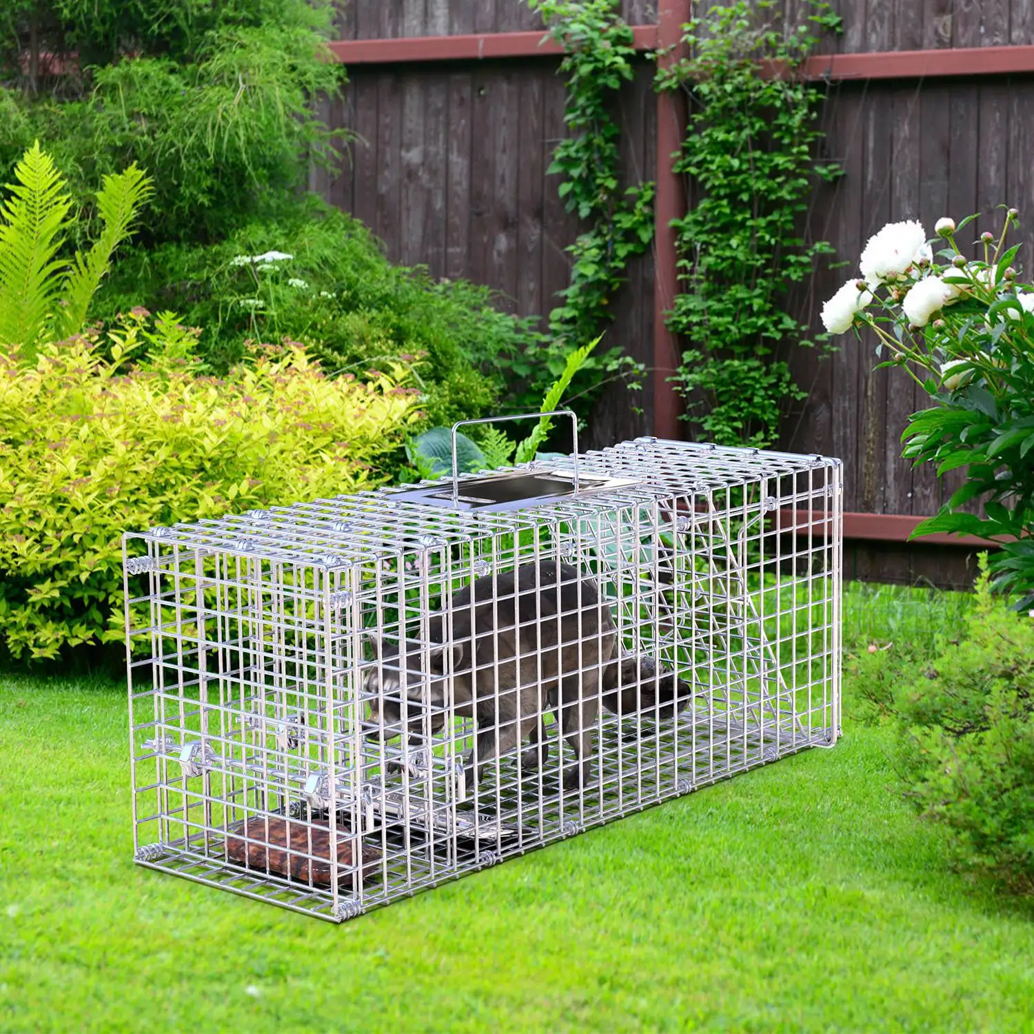 25.59Inch Live Humane Animal Trap