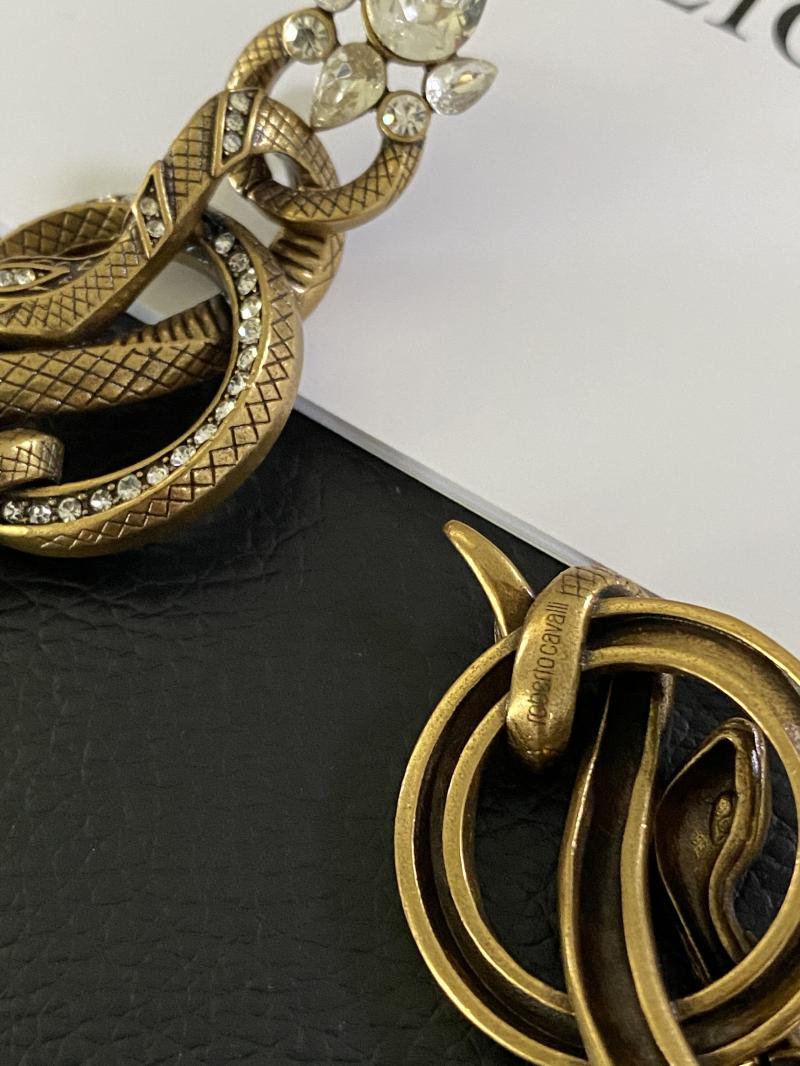 Retro Earrings Exaggerate The Temperament Of Court Snake Print