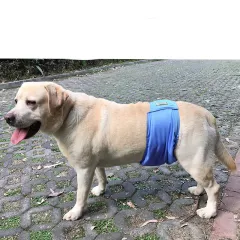 Male Dog Restraint Courtesy Belt Pet Supplie Washable Sanitary Diapers - Blue - View 1