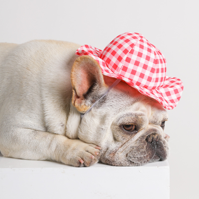 Title 5, Cappello da sole a quadri alla moda per animali...