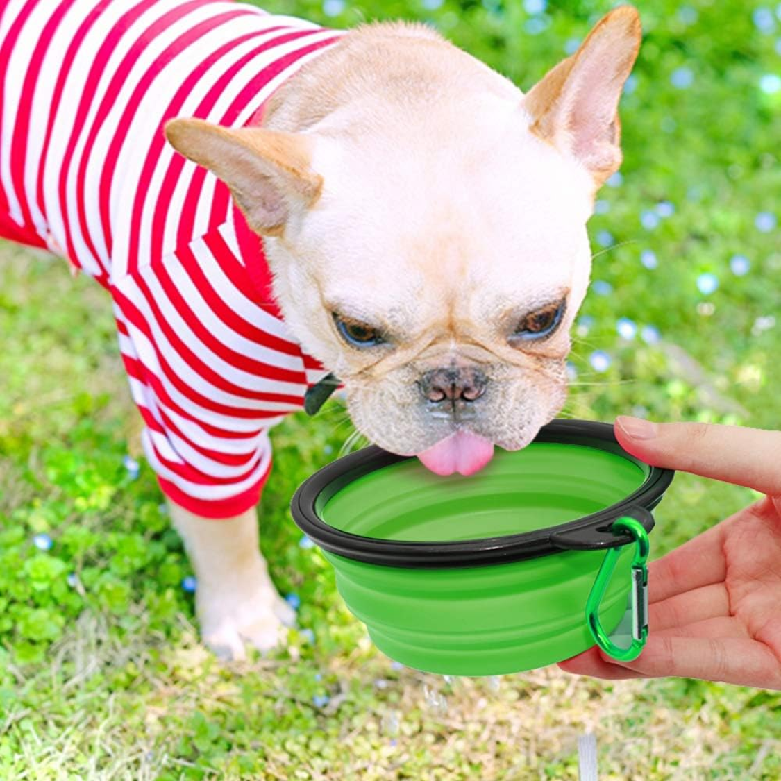 Dog Bowl Pet Collapsible Bowls, 2 Pack For Cats Dogs, Portable Pet Feeding Watering Dish For Walking Parking Traveling With 2 Carabiners — foto 5