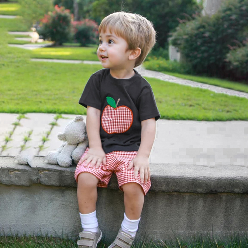 Toddler Baby Boy Back To School Outfit Summer Applique T-Shirt & Red Gingham Shorts Set — view 5