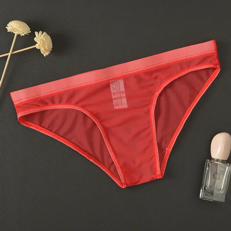 Men's Nude Feel Transparent Thin Mesh Briefs