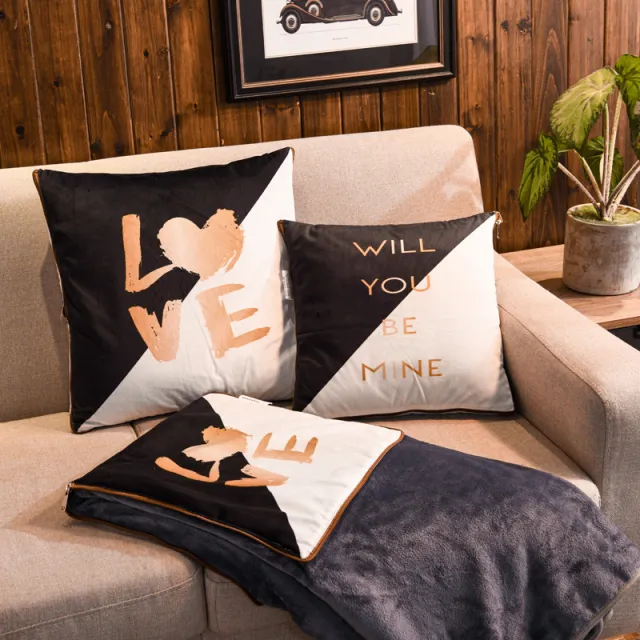Pillow Quilt Dual purpose Coral Fleece Cushion Style C - Shop at LoveMi