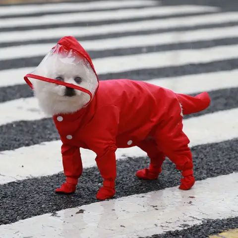Pet Four-legged All-in-one Waterproof Raincoat Comes with Rain Shoes