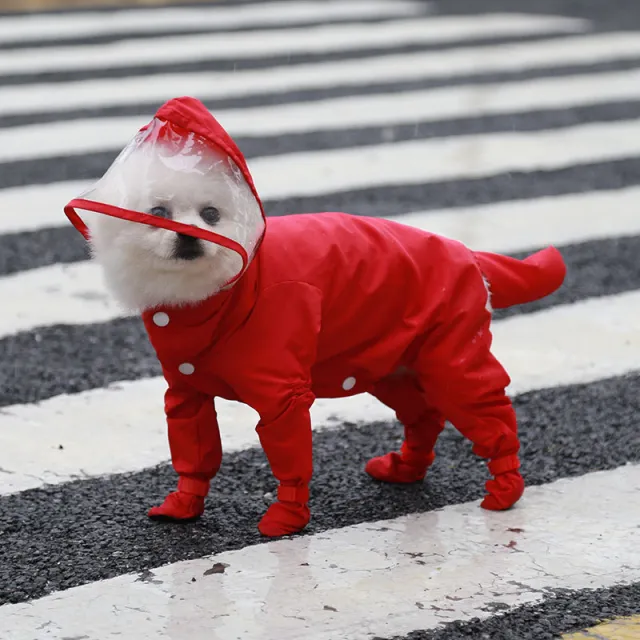Pet Four legged All in one Waterproof Raincoat Comes With Rain Shoes Red - Shop at LoveMi