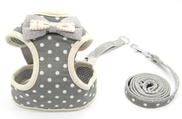 Cat Traction Rope Walking Chain Dog Walking Artifact Gray Dots - Shop at LoveMi