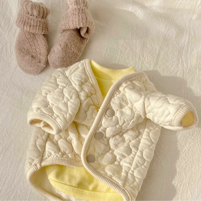 Thickened Warm Pet Cotton Coat Teddy Bichon