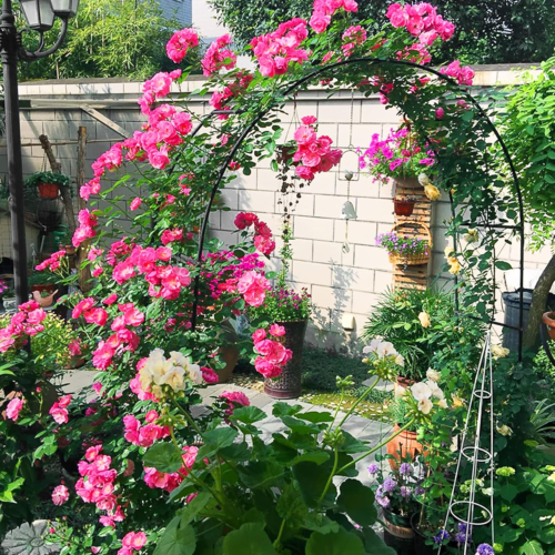 7.9FT Garden Arch Trellis Arched Balloon Climbing Plant Metal Tubular Archway — image 5