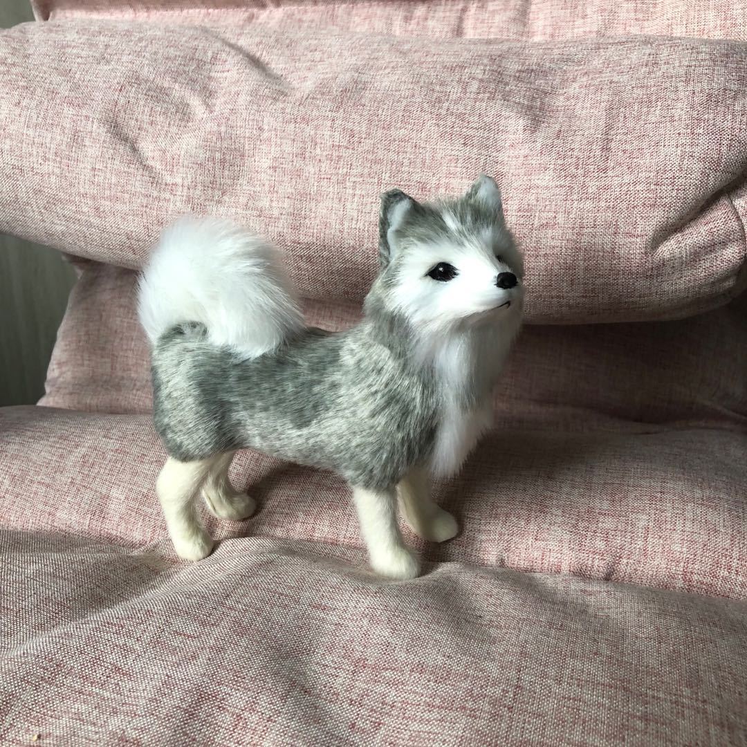 Hair like grey husky