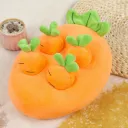 4Radish Fields