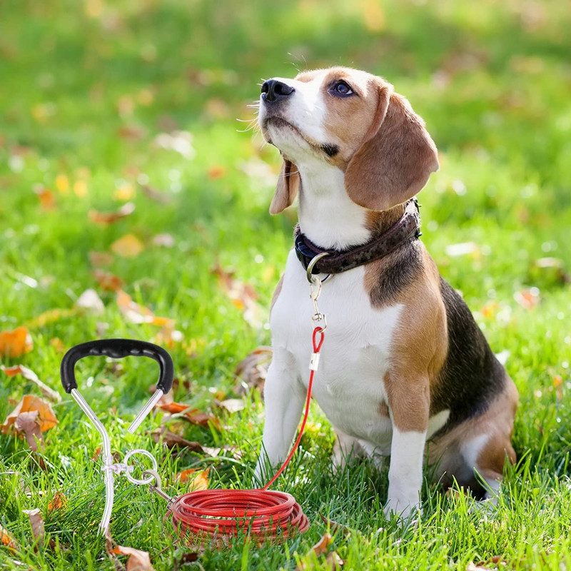 Laisse pour chien à câble métallique à double crochet