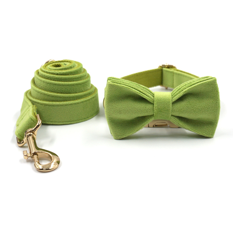 Collier pour animaux de compagnie, laisse pour chien, velours vert Matcha, boucle dorée de haute qualité