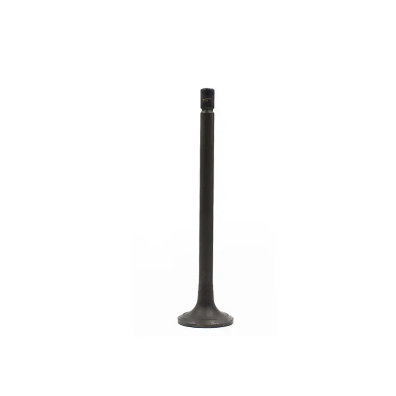 Exhaust Valve Natural Gas Engine Parts Heavy Truck Bus
