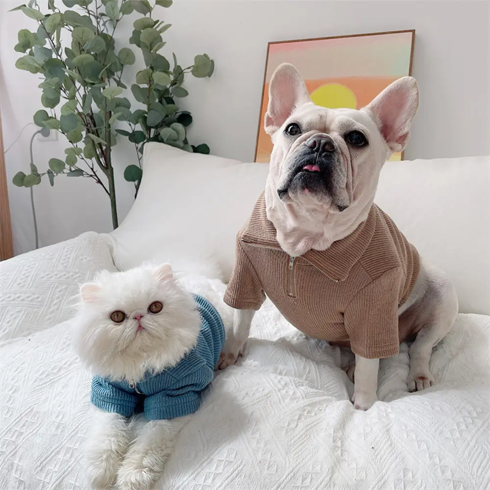 Pet Clothes Dog Stand-up Collar Zipper Bottoming
