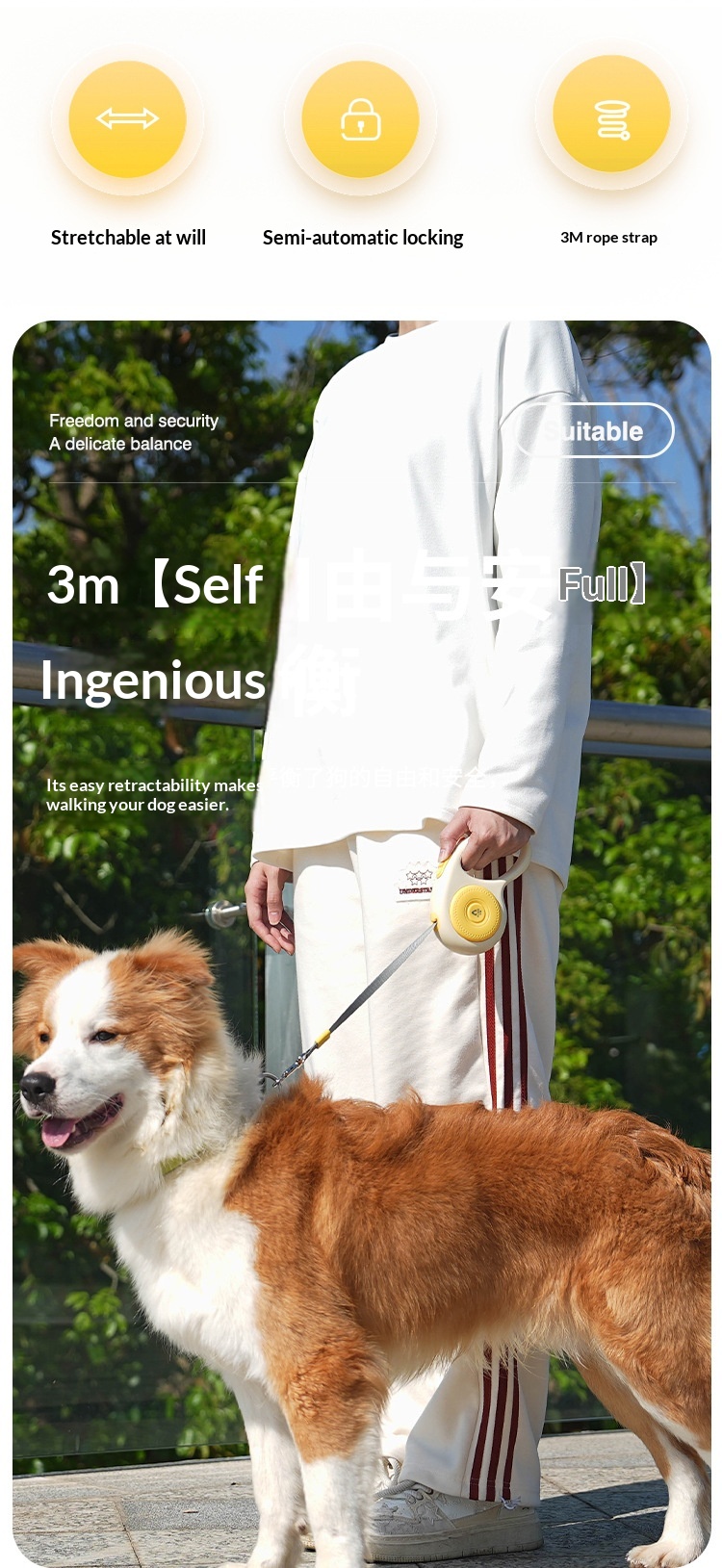 Retractable Dog Leash Anti-Shock No-Jerk Design For Small & Large Dogs Pet Supplies detail photo 12