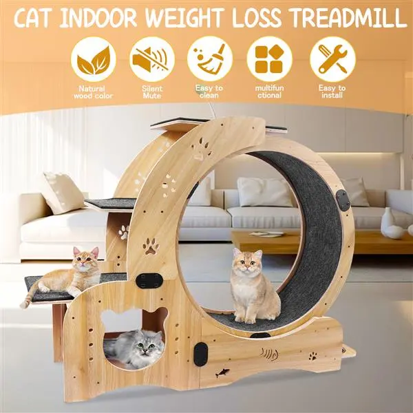 Cat Wheel 6 in 1 Cat Sports Wheel, Upgraded Indoor Cat Wheel Sports Device Wood - Shop at LoveMi