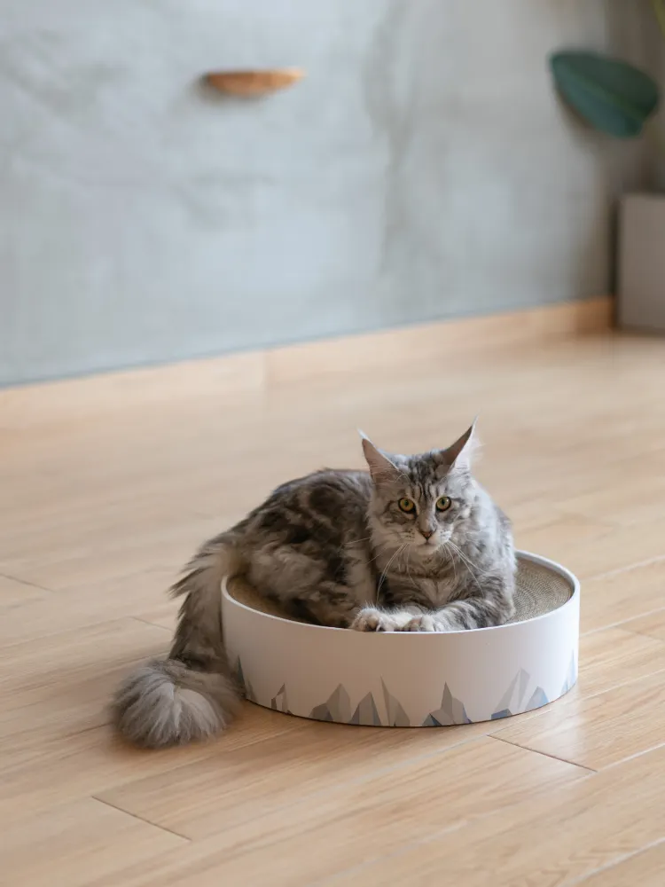 Valley Cat Scratcher Claw Sharpener Corrugated Litter
